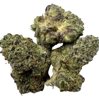 Jet Fuel