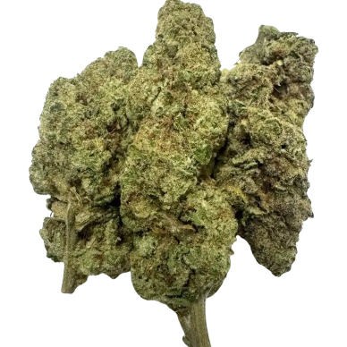 Strawberry Blondie
